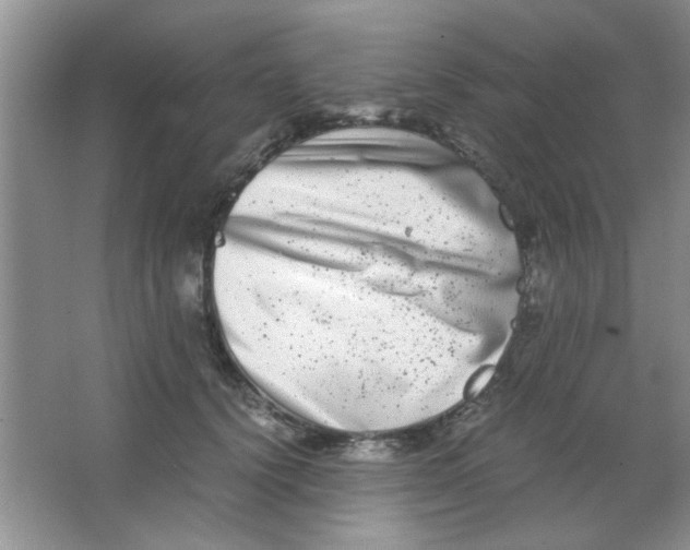 X0000063500656200602101900