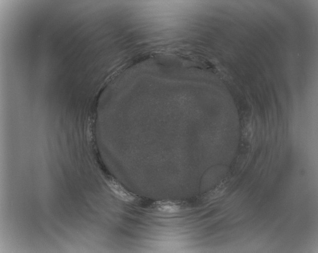 X0000063500658200602101900