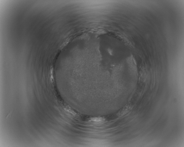 X0000063500659200602101900