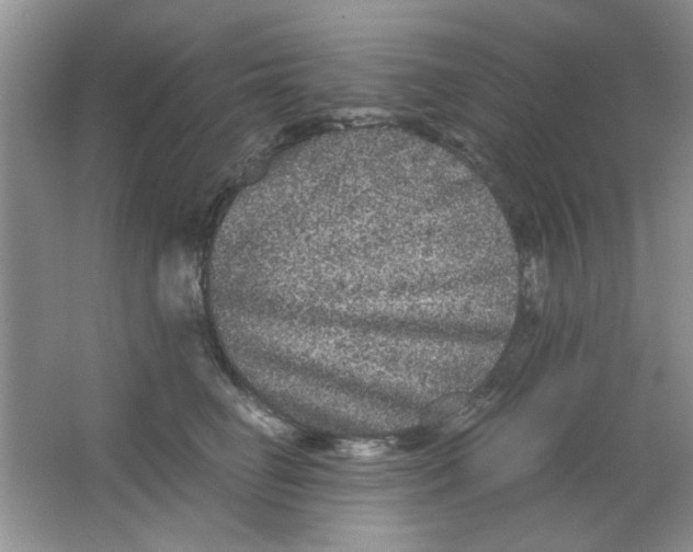 X0000063500662200602101900