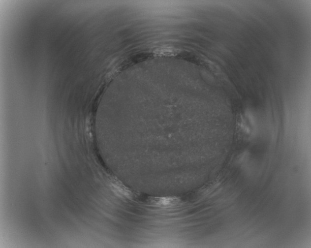 X0000063500663200602101900