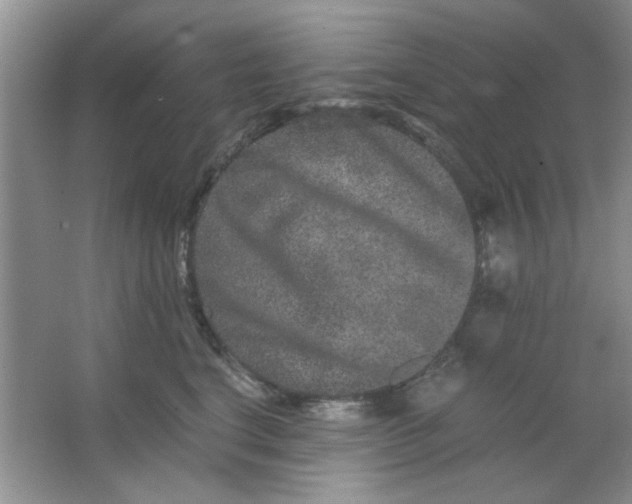 X0000063500664200602101900