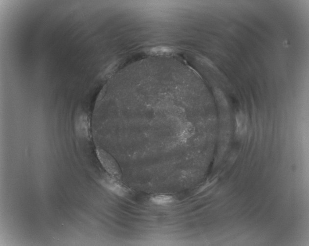 X0000063500669200602101901