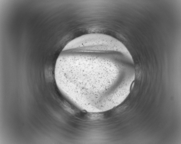 X0000063500670200602101901