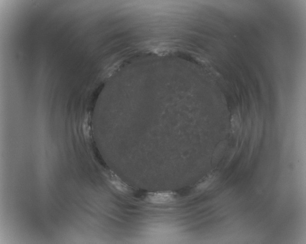 X0000063500671200602101901