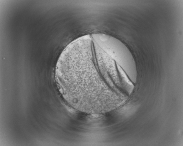 X0000063500672200602101901