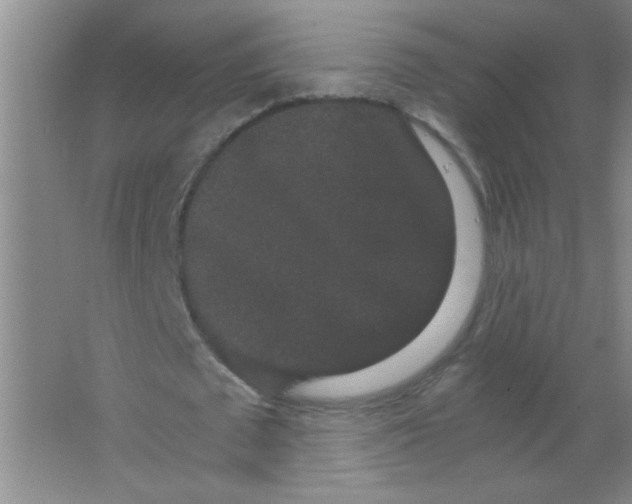 X0000063500673200602101900