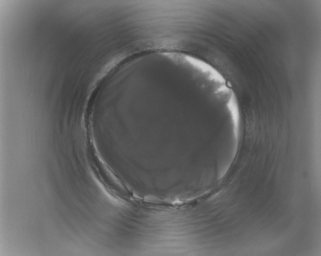 X0000063500674200602101900