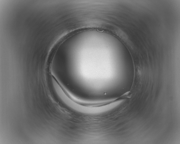 X0000063500676200602101900