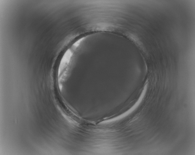 X0000063500678200602101900