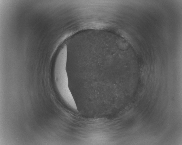 X0000063500679200602101900