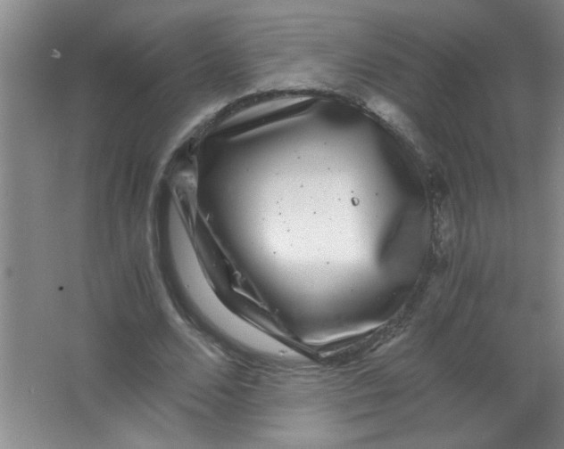 X0000063500680200602101900