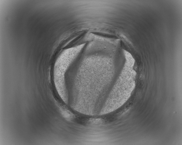 X0000063500685200602101900