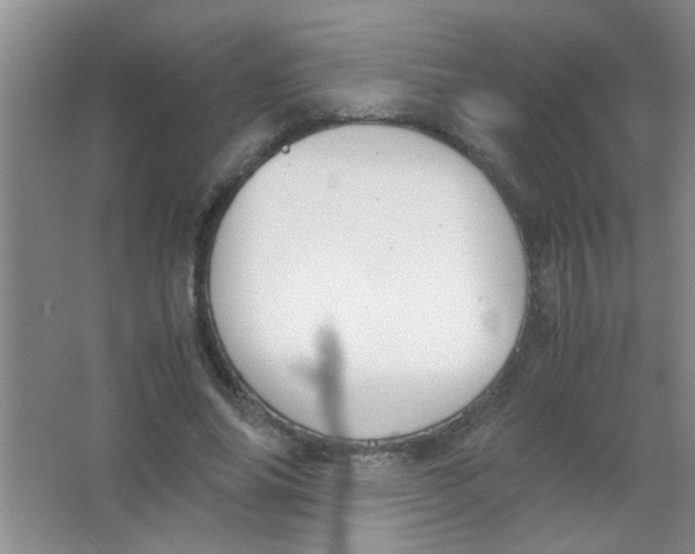 X0000063500686200602101900