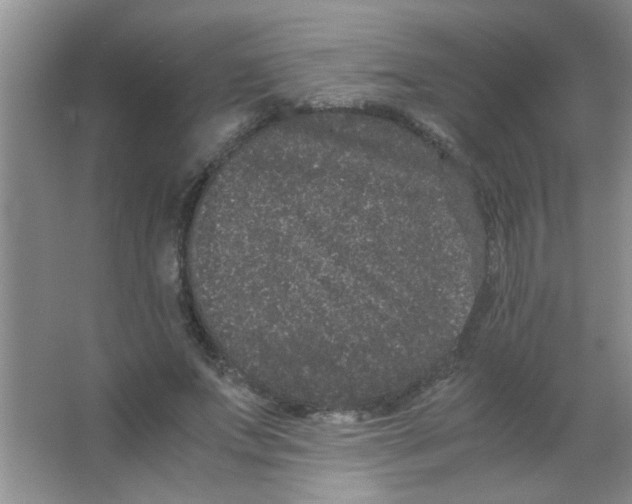 X0000063500687200602101900