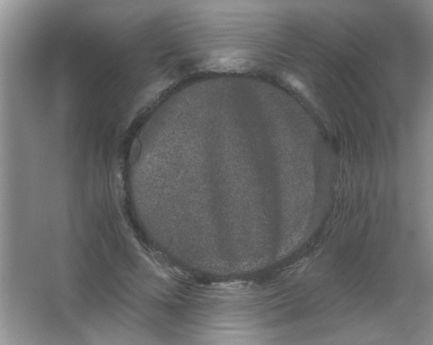 X0000063500688200602101900