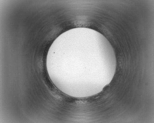 X0000063500690200602101859