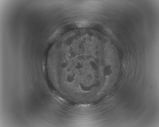 X0000063500691200602101859