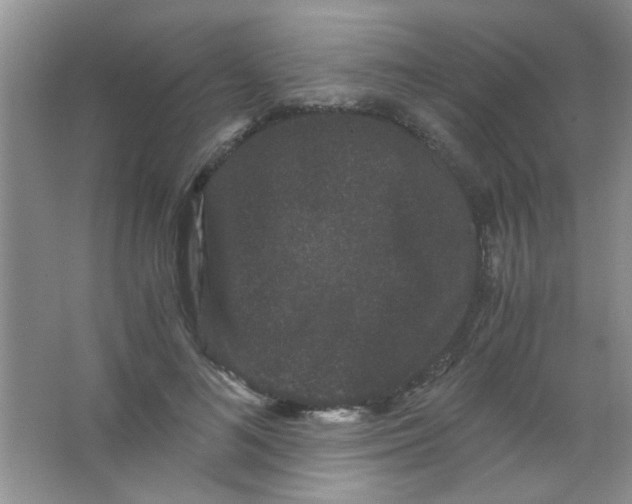 X0000063500692200602101859