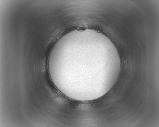 X0000063500694200602101859