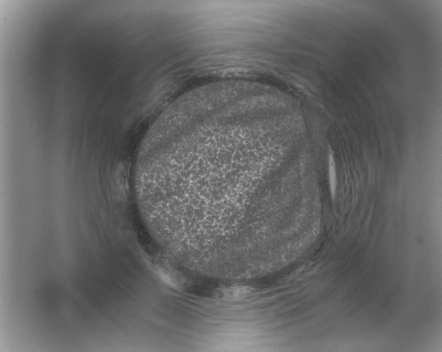 X0000063500695200602101859