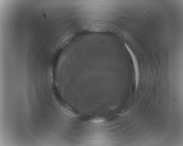 X0000063500696200602101859