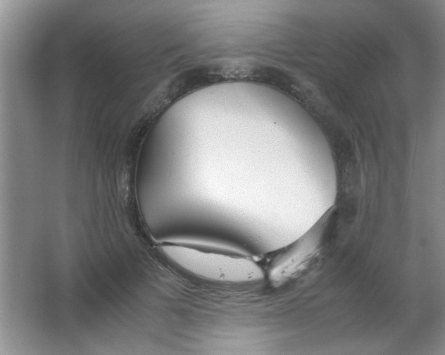 X0000063500697200602101859