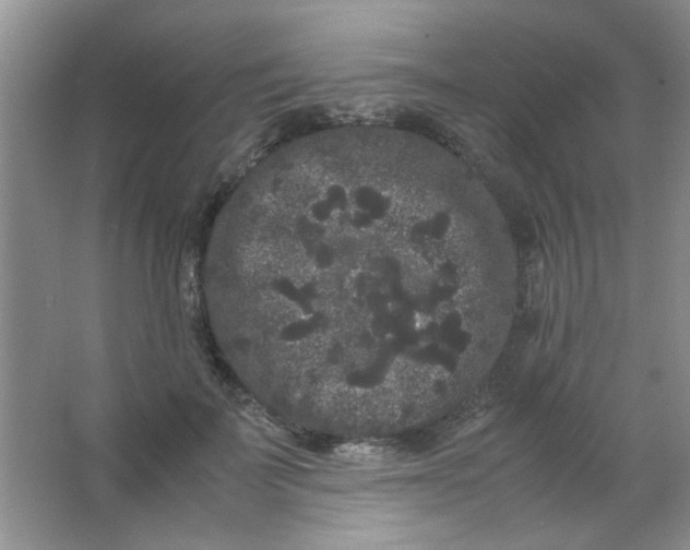 X0000063500699200602101859