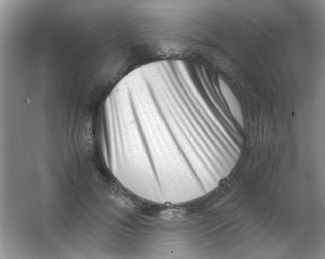 X0000063500700200602101859