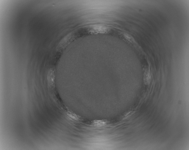 X0000063500701200602101859