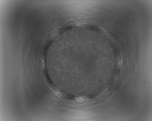 X0000063500703200602101859