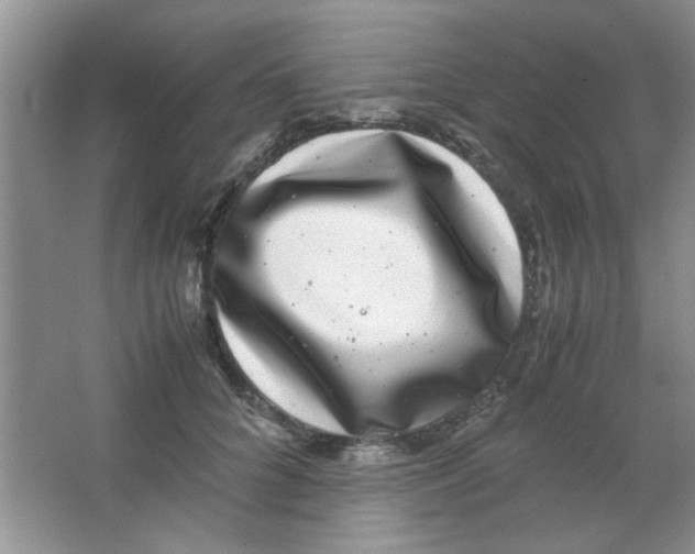 X0000063500704200602101859