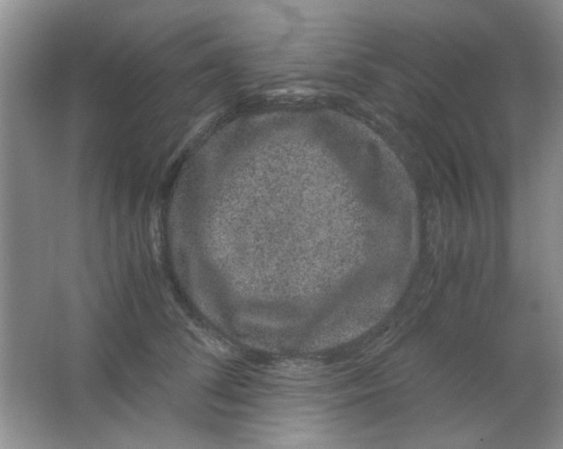 X0000063500708200602101859