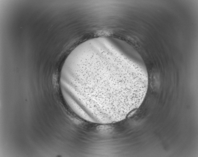 X0000063500714200602101859