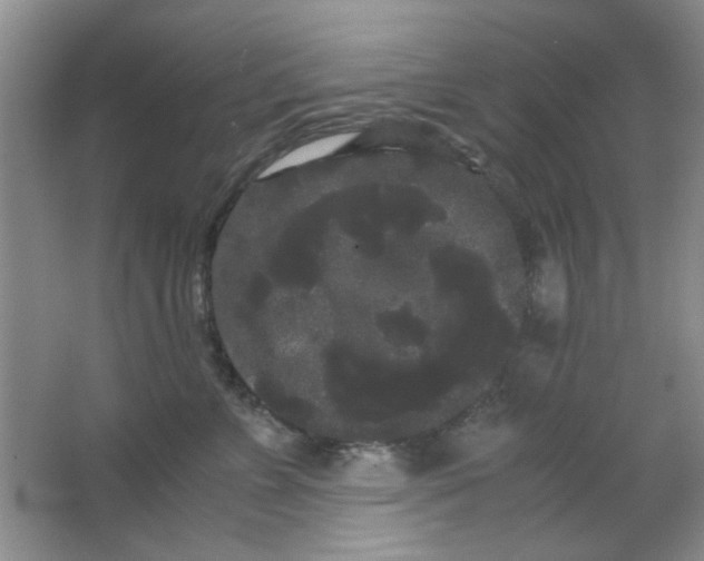 X0000063500715200602101859