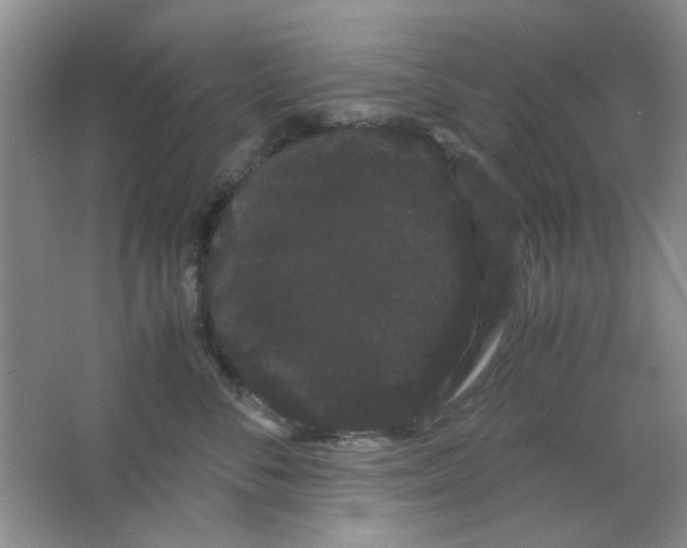 X0000063500716200602101859