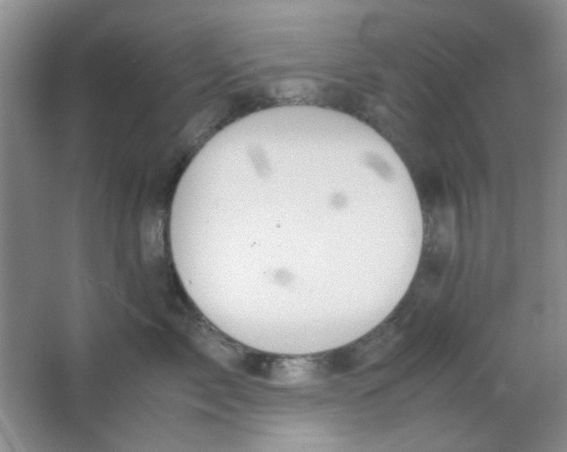 X0000063500717200602101859