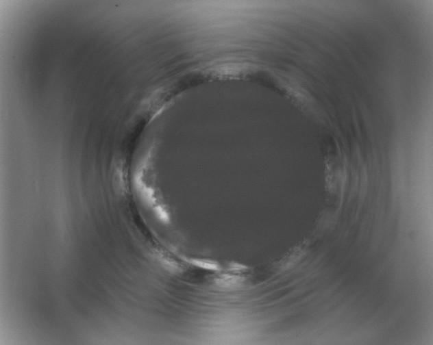 X0000063500718200602101859