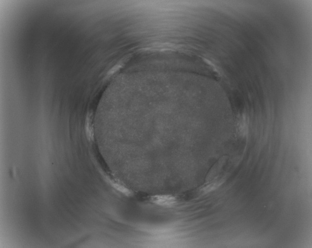 X0000063500719200602101859