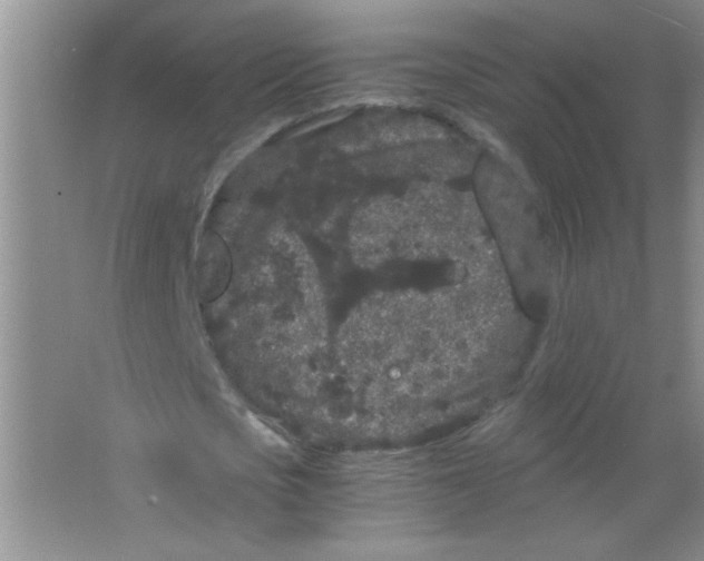 X0000063500721200602101858