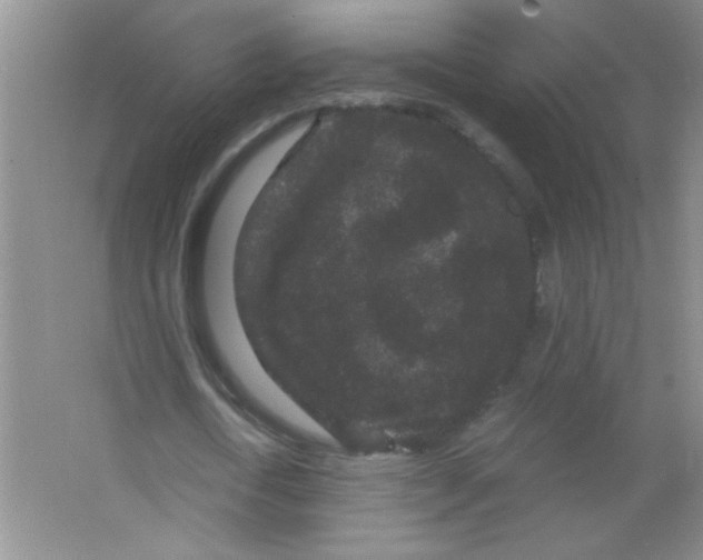 X0000063500722200602101858