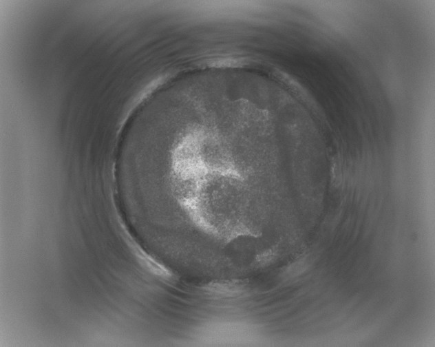 X0000063500725200602101858