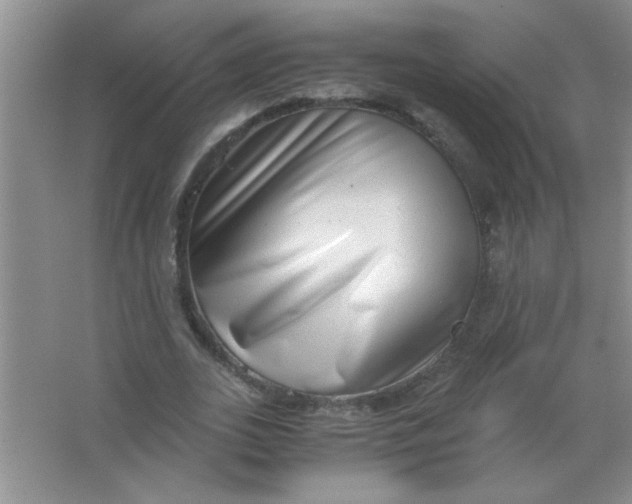 X0000063500727200602101858