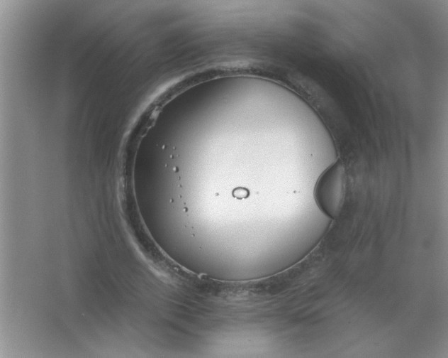 X0000063500728200602101858