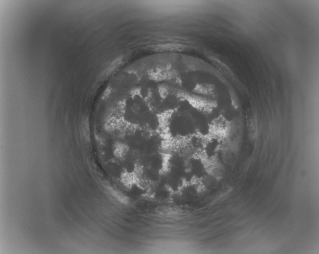 X0000063500729200602101858