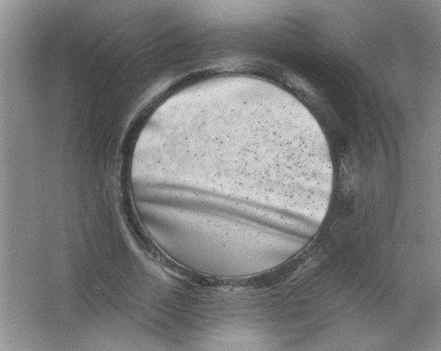 X0000063500730200602101858