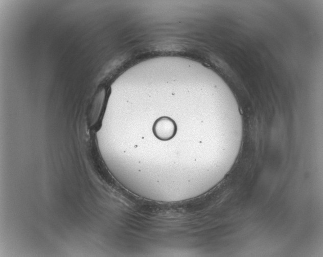 X0000063500731200602101858