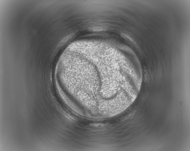 X0000063500733200602101858