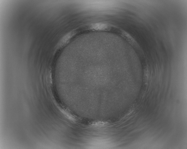 X0000063500734200602101858