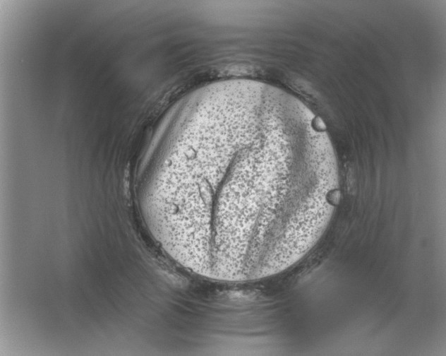 X0000063500737200602101858